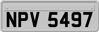 NPV5497