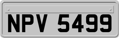 NPV5499
