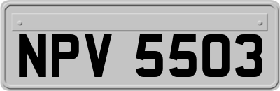 NPV5503