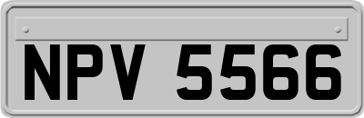 NPV5566