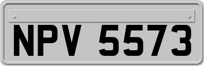 NPV5573