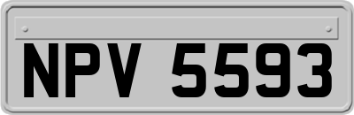 NPV5593