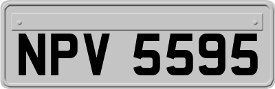 NPV5595