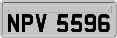 NPV5596