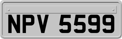 NPV5599