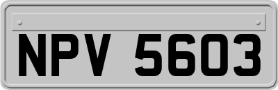 NPV5603