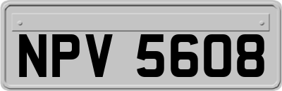 NPV5608