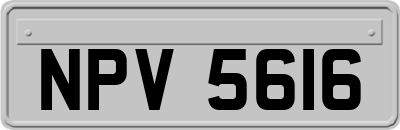 NPV5616