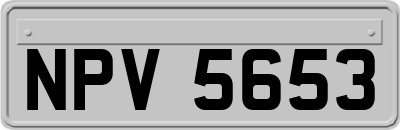 NPV5653
