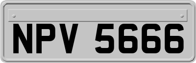 NPV5666