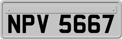 NPV5667
