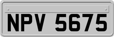 NPV5675