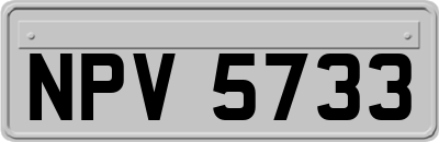 NPV5733