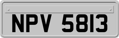 NPV5813