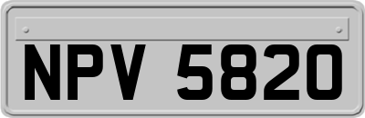NPV5820