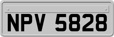 NPV5828
