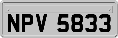 NPV5833