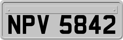 NPV5842