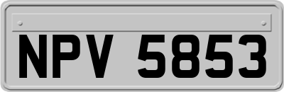 NPV5853