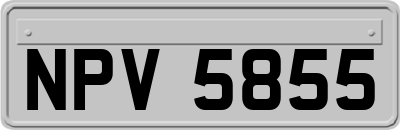 NPV5855