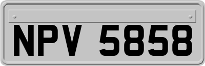 NPV5858