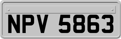 NPV5863
