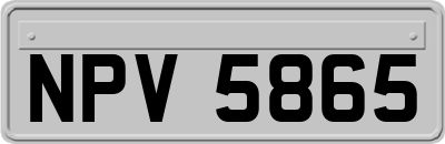 NPV5865