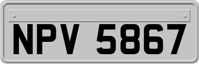 NPV5867