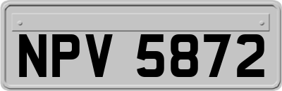 NPV5872