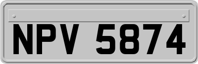 NPV5874
