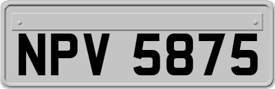 NPV5875