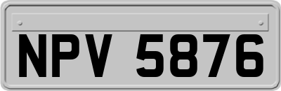 NPV5876