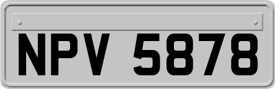 NPV5878