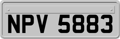 NPV5883