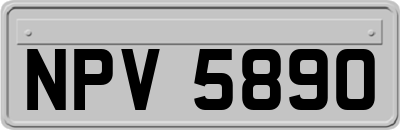 NPV5890