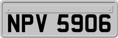 NPV5906