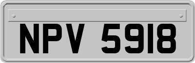 NPV5918