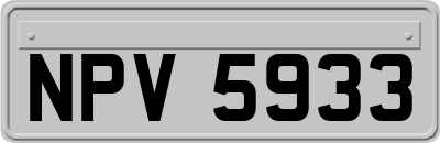 NPV5933
