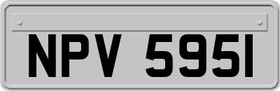 NPV5951