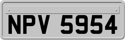 NPV5954