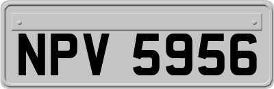 NPV5956