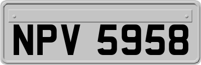 NPV5958