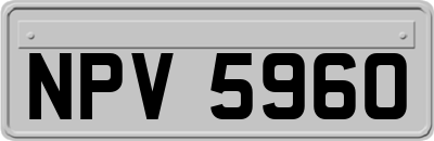 NPV5960