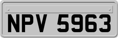 NPV5963
