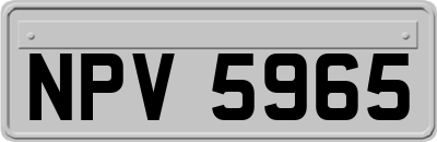NPV5965