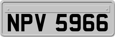 NPV5966