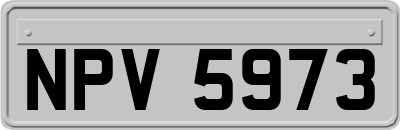 NPV5973