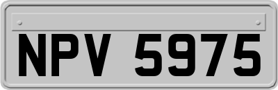NPV5975