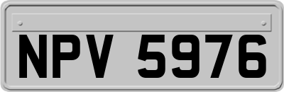 NPV5976