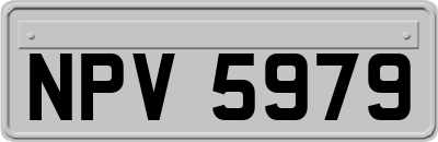 NPV5979